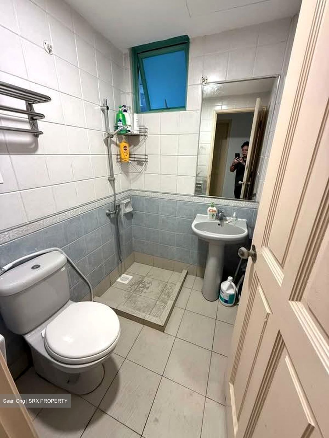 The Sunny Spring (D14), Apartment #535392221